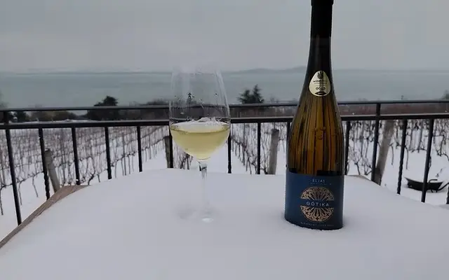 Éliás Borbirtok X Sercegő - Borkóstoló